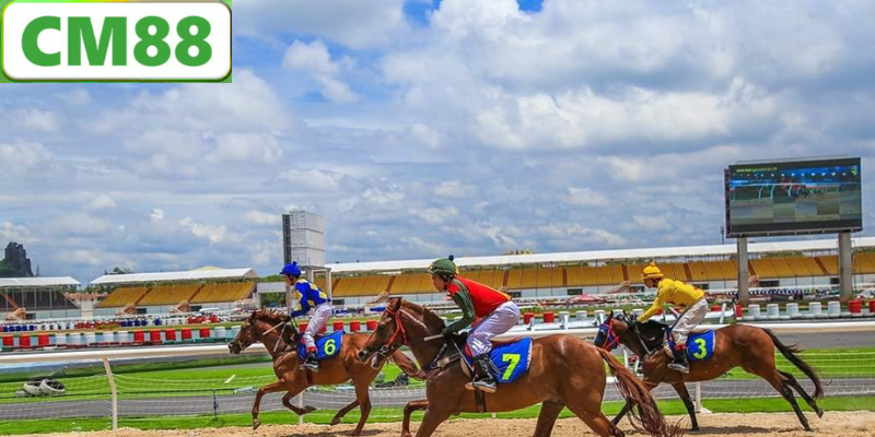 Cá Cược Đua Ngựa - Phương Pháp và Những Điều Cần Biết